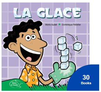 French - Beginning Readers : Series B